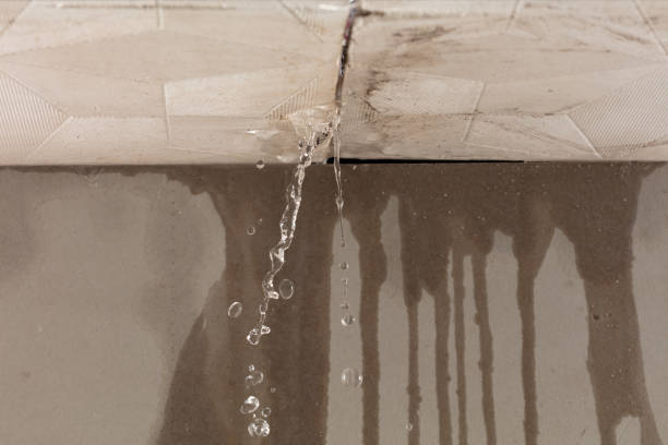 Professional Water Damage Inspection technician working in Chamberlain, SD